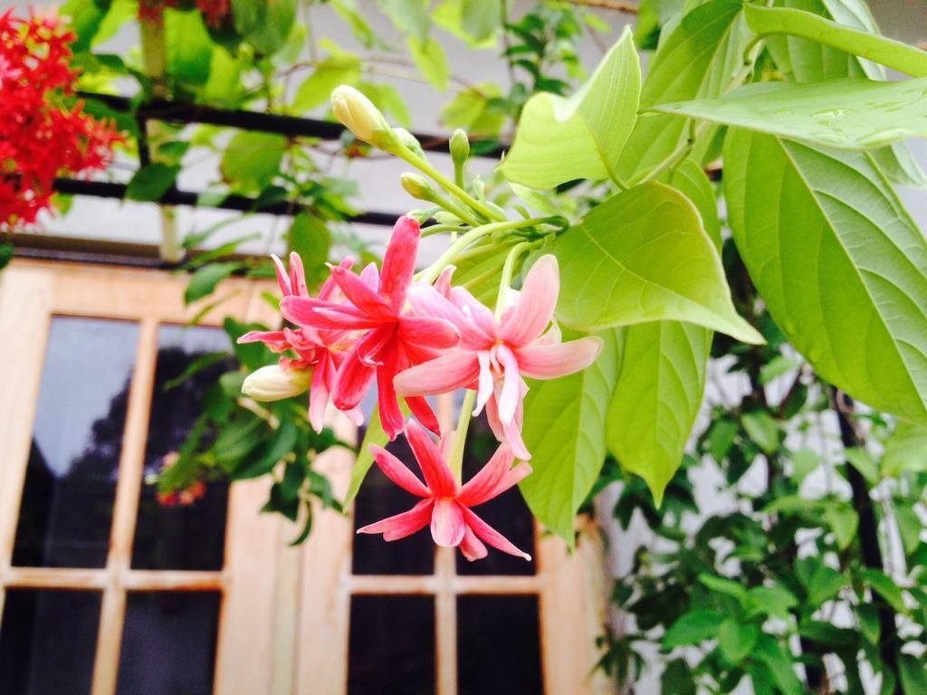 Manik Home Stay Kudapaduwa Exterior foto