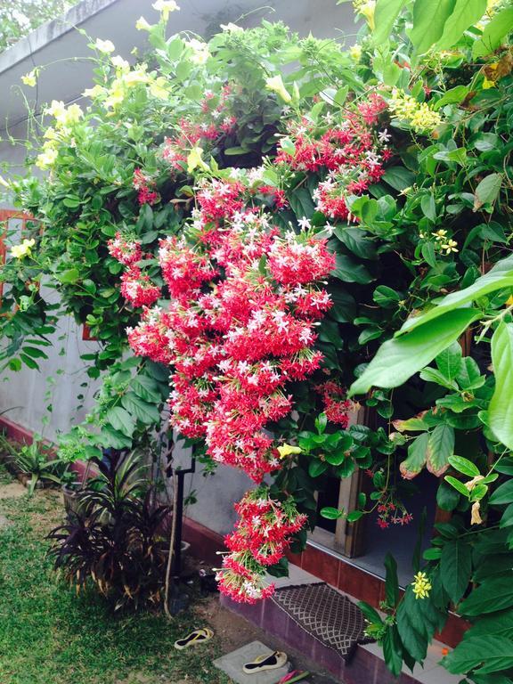 Manik Home Stay Kudapaduwa Exterior foto